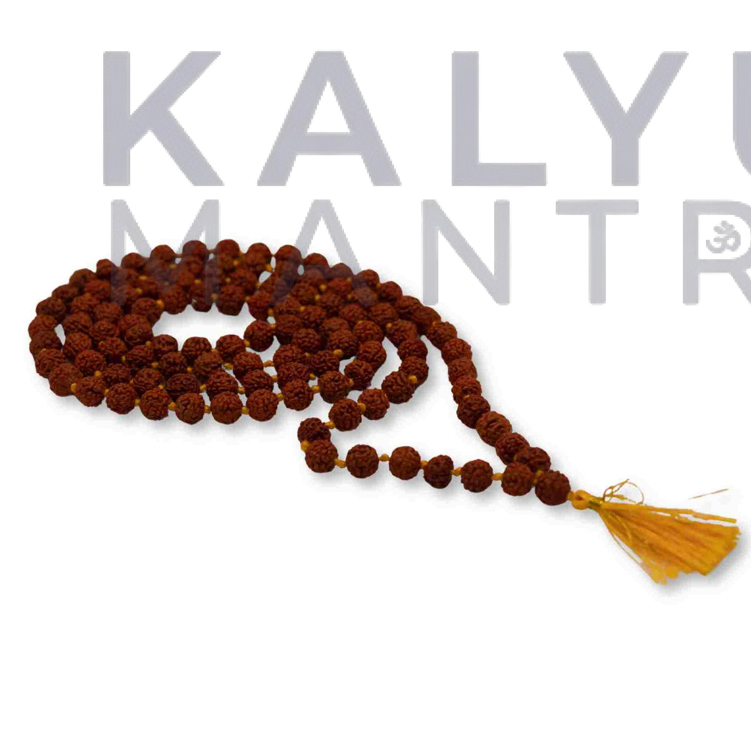 Brown Rudraksha Mala - 108+1 Beads