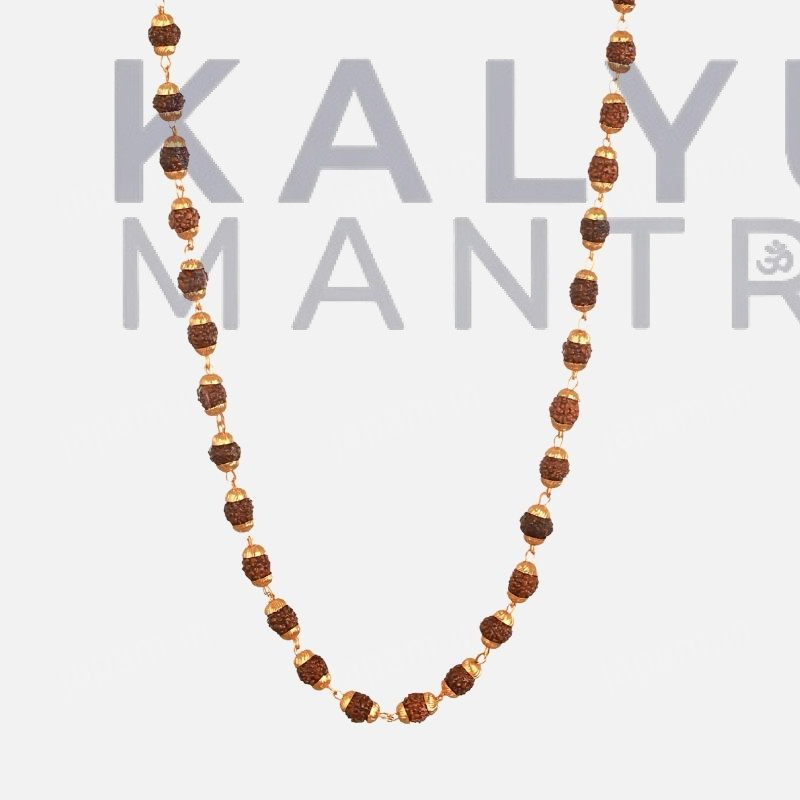 Brown Rudraksha Mala - 108+1 Beads